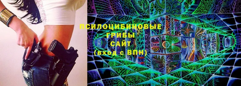 Псилоцибиновые грибы Cubensis  Михайловск 